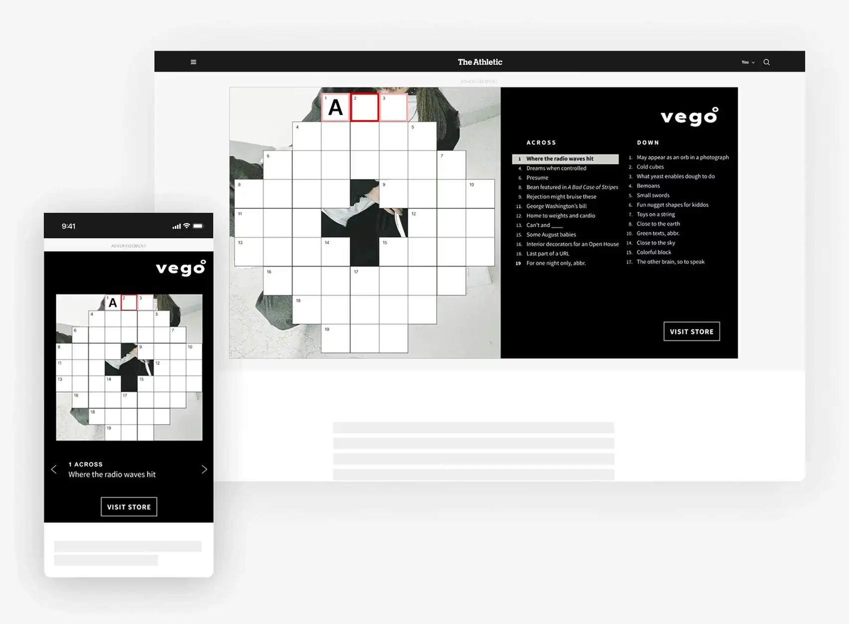 IMAGE REVEAL Desktop Example
